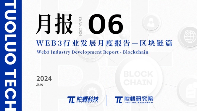2024年6月Web3行业月度发展报告区块链篇 |陀螺研究院 post thumbnail image